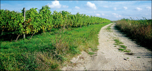 下一站，慢城-4-2-
