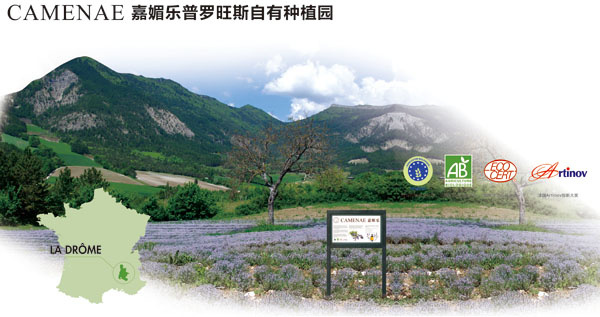 2011年8月CAMENAE嘉媚乐公关资讯图