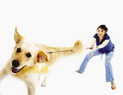 孤独感诱发现代人宠物依赖症(1)